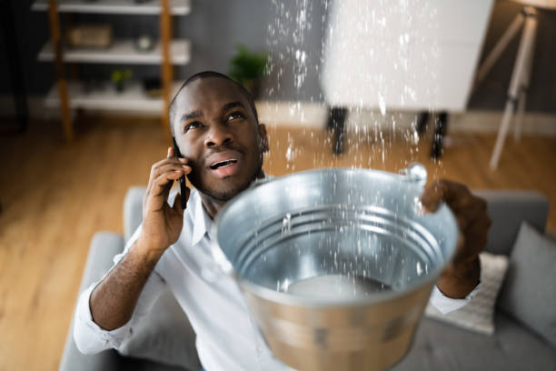 Best Water damage restoration insurance claims  in Aurora, SD