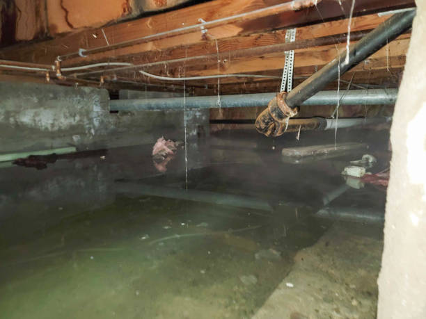 Water damage restoration process in Aurora, SD