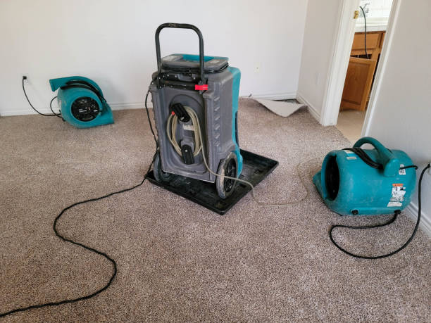 Best Local water damage restoration  in Aurora, SD