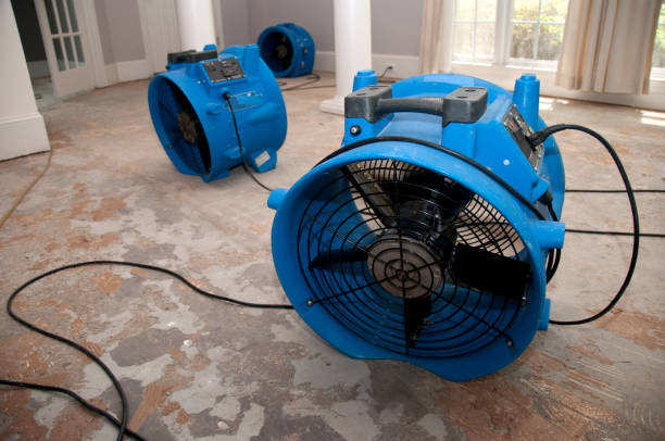 Best Basement water damage restoration  in Aurora, SD