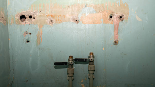 Best Flood damage cleanup  in Aurora, SD