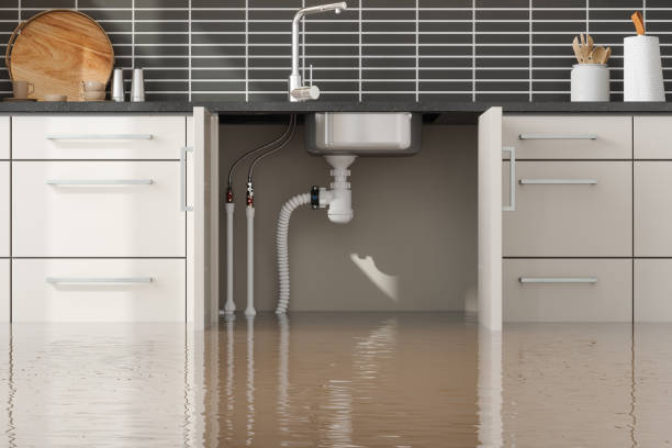 Best Water damage restoration process  in Aurora, SD