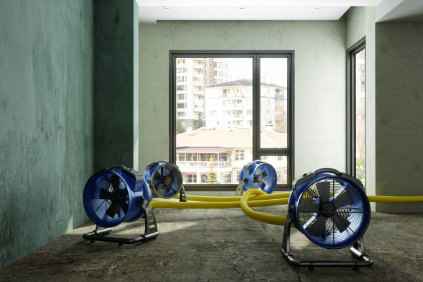 Best 24-hour water damage restoration  in Aurora, SD